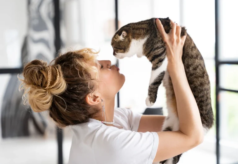 best pet camera for dogs